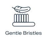 Electric Toothbrush